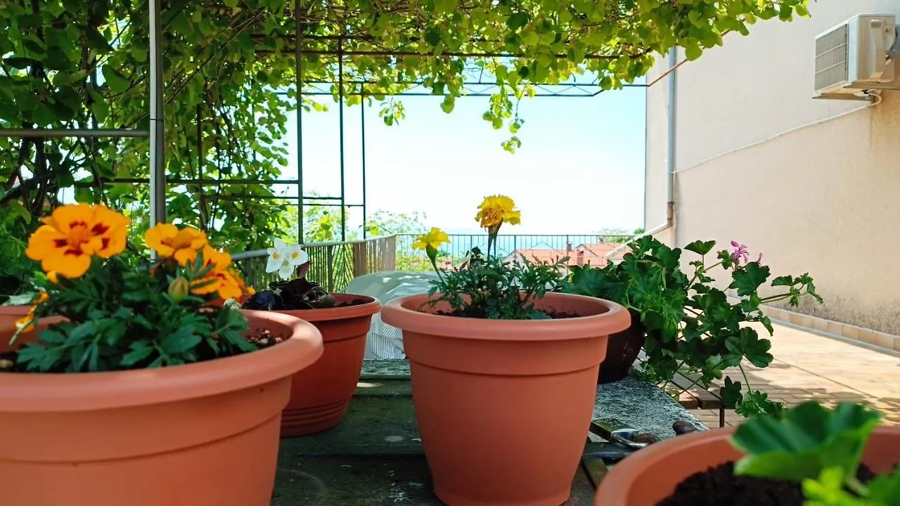 Apartment Olea Kastav Croatia